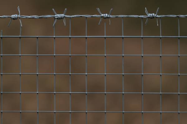 Alambre de púas para construcción